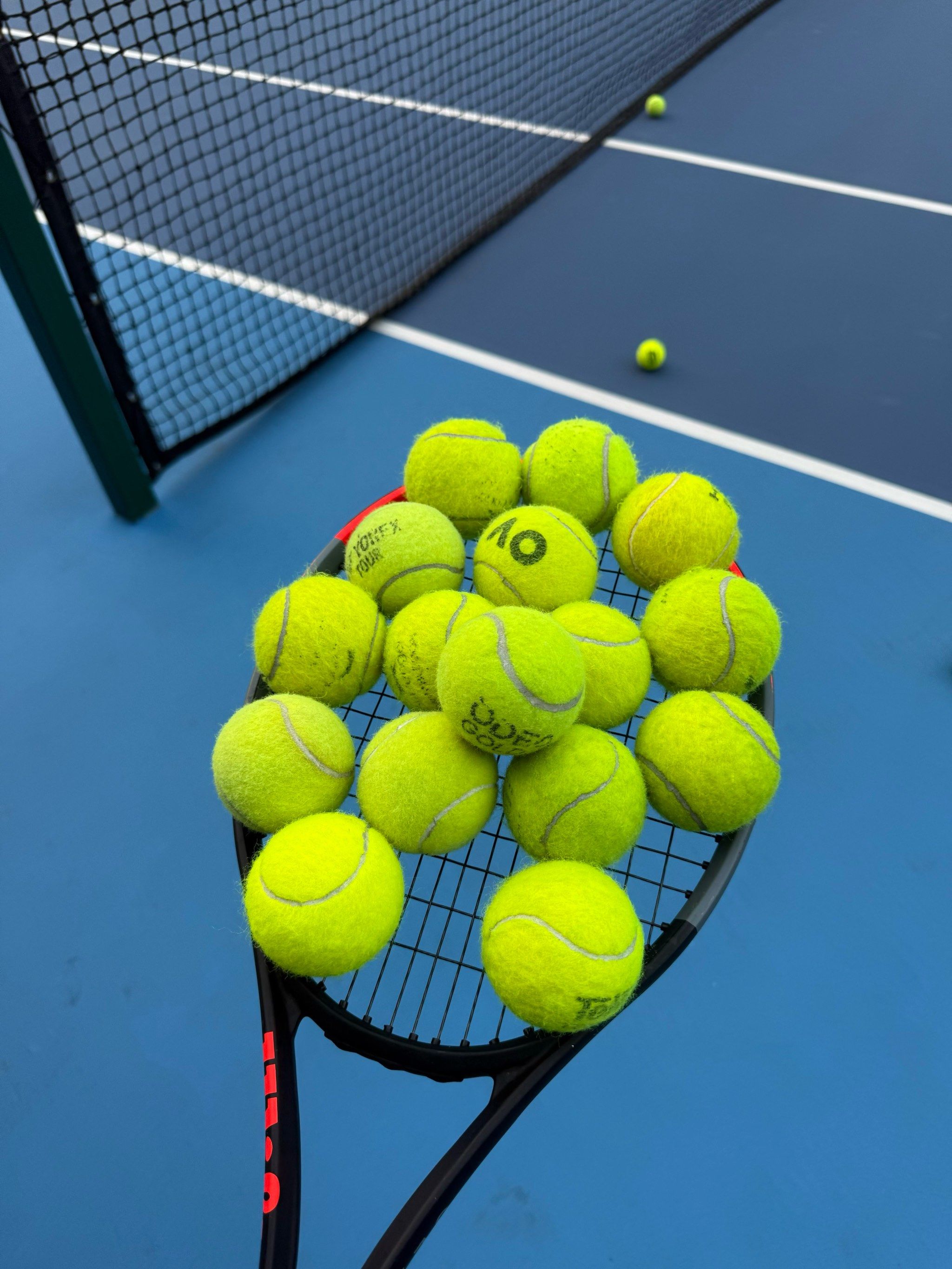 持职业选择 持职业选择