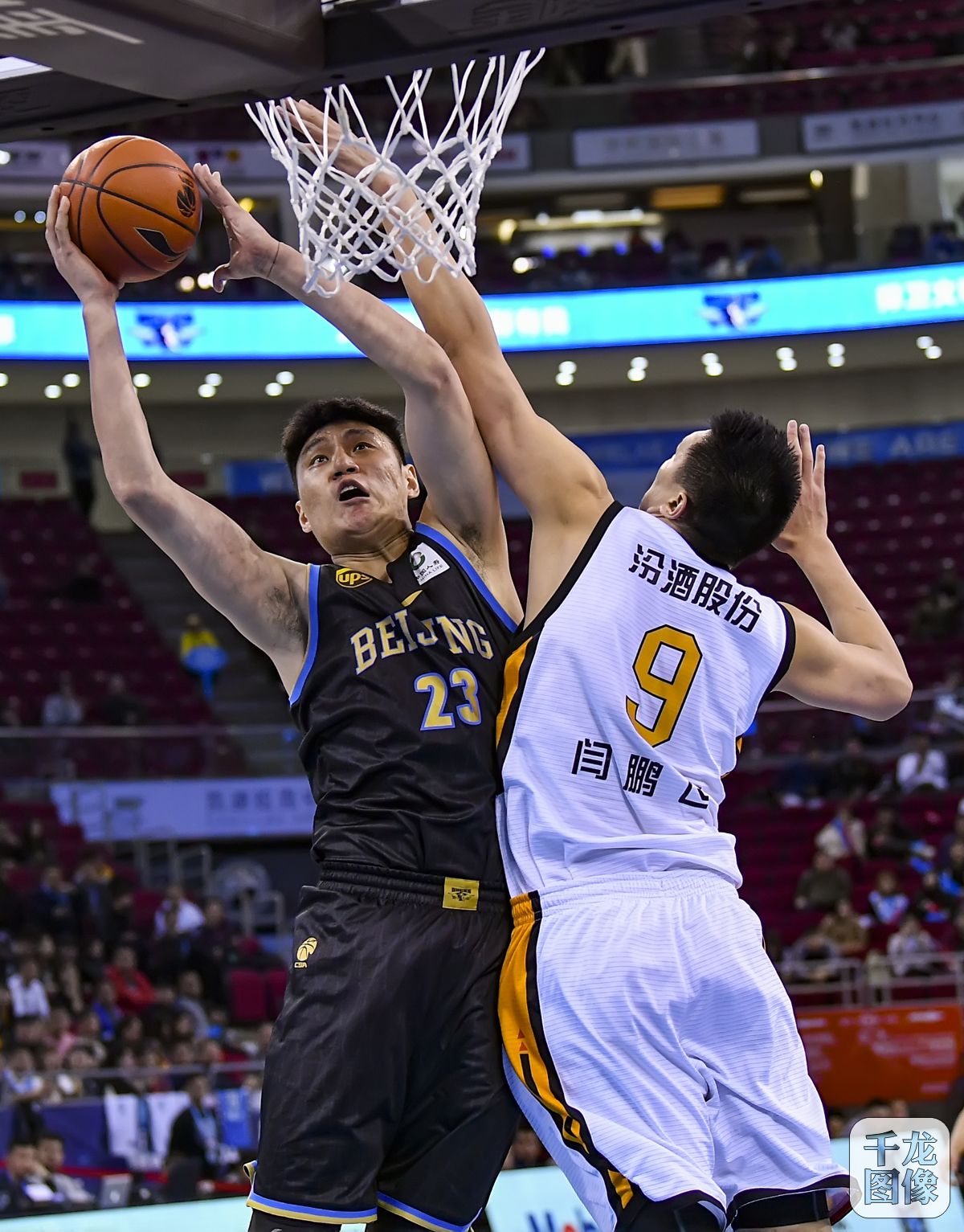 年轻阵容的 年轻阵容的