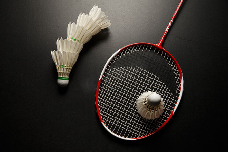 入了重要动 入了重要动