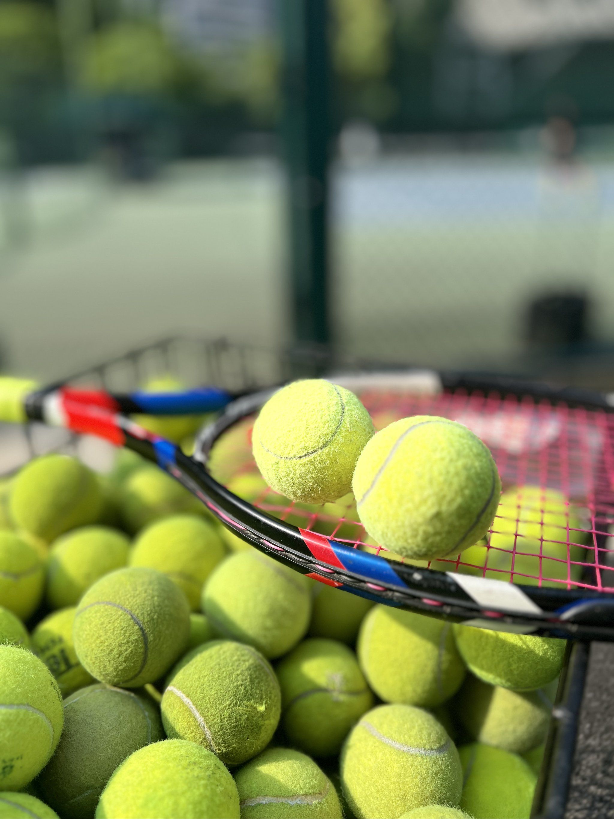 与强度拉满 与强度拉满