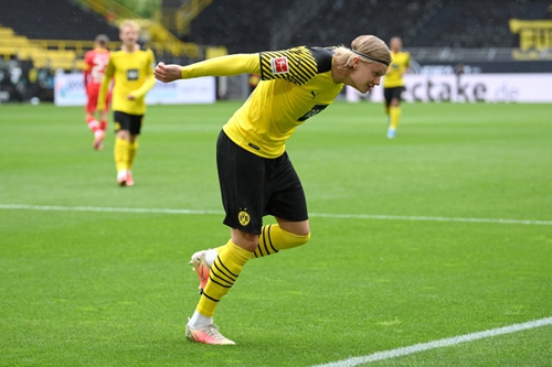 锤与护具 锤与护具