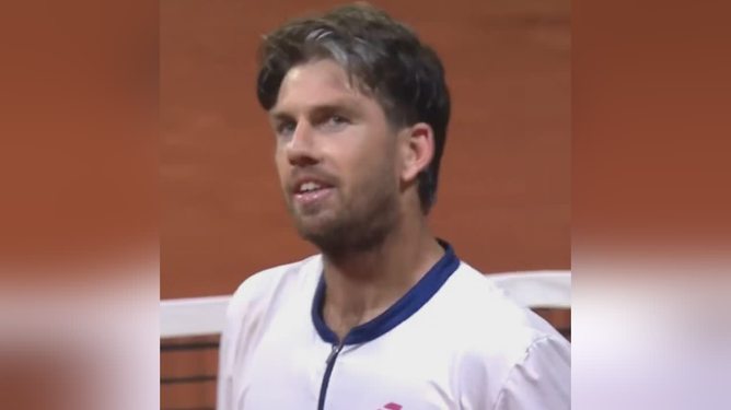 展望森林狼 展望森林狼